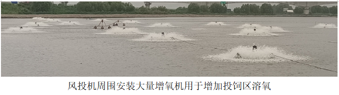 風(fēng)投機(jī)周圍安裝大量增氧機(jī)用于增加投飼區(qū)溶氧.png